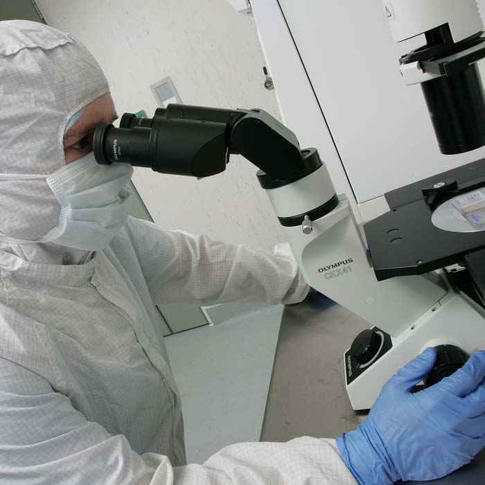 A man inspects cells under a microscope