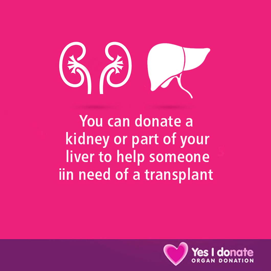 You can donate a kidney - Yes I donate image