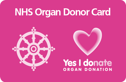 The best option for a donor organ would be