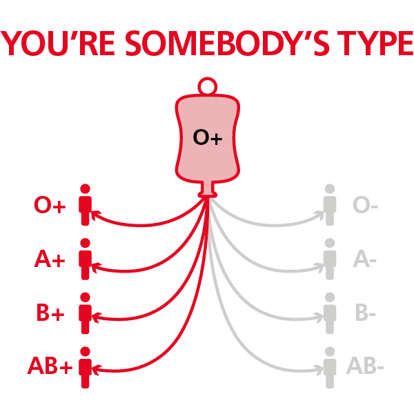 Diagram showing which blood groups O positive donors can donate to