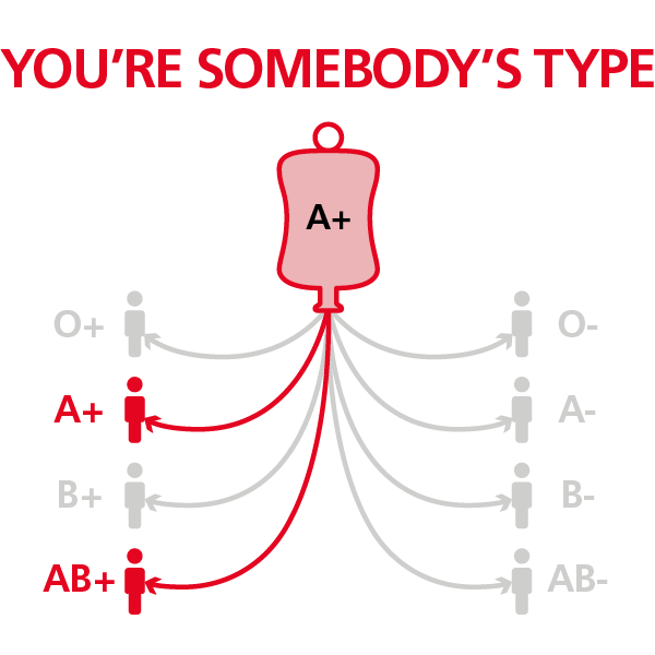 You're somebody's type - diagram showing which blood groups can receive A positive blood