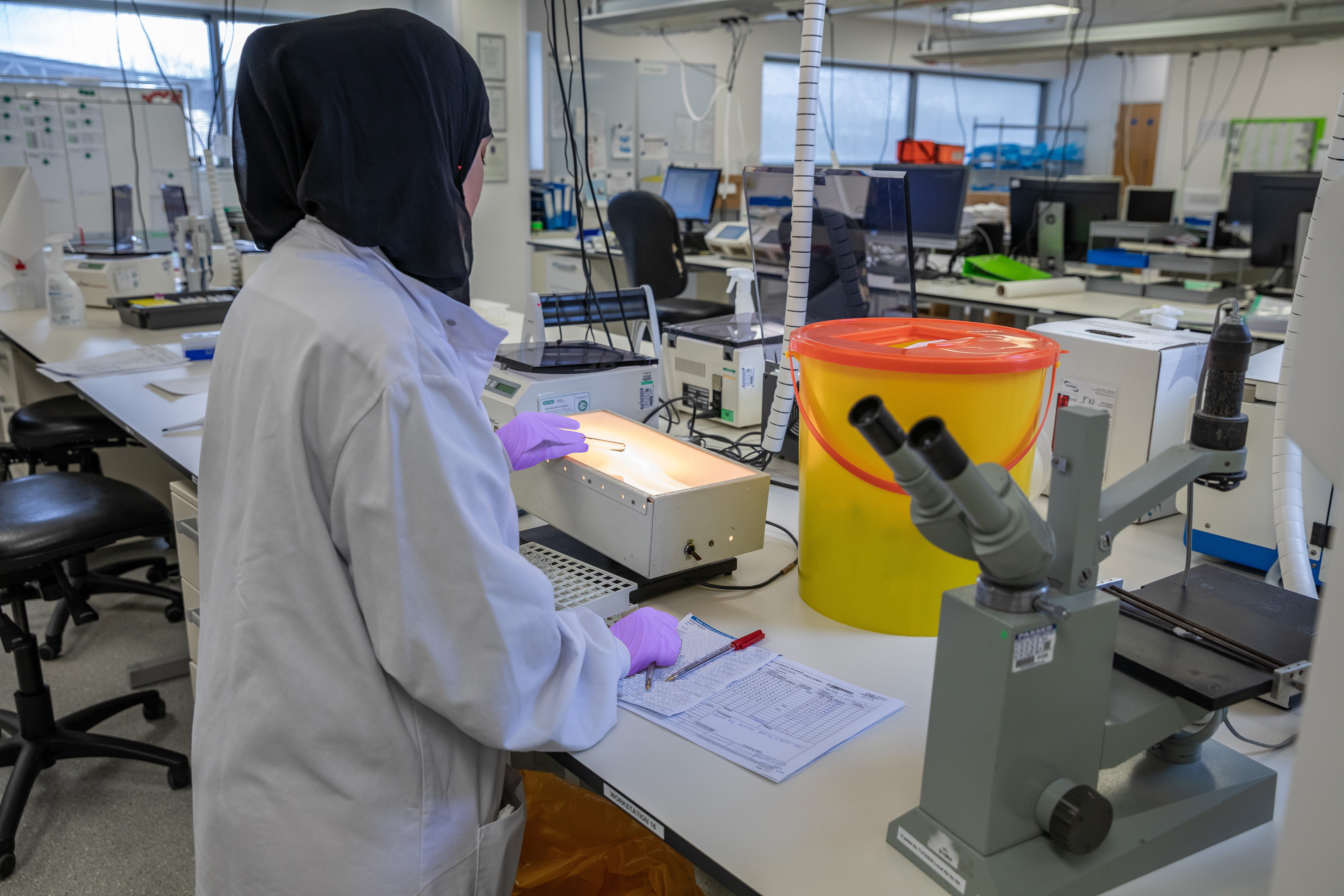 Zarqa Ali, RCI reading tube testing results over a lightbox