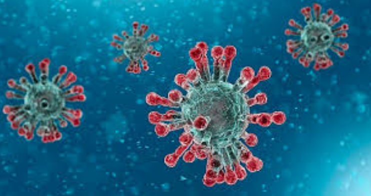 coronavirus