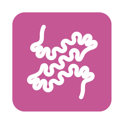Illustrative image of small bowels