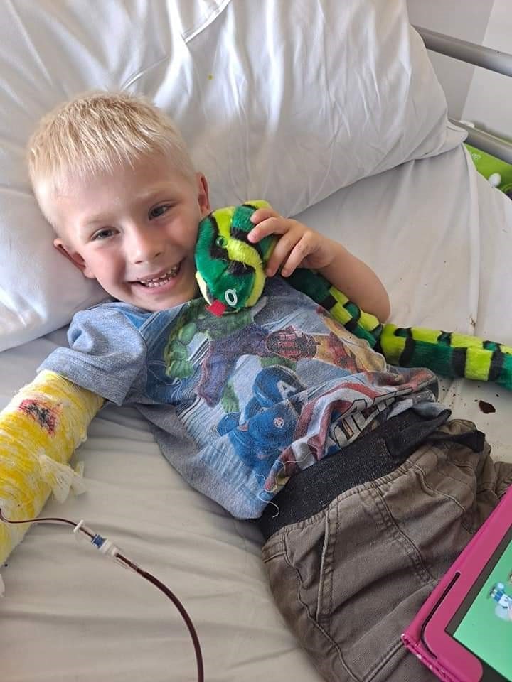 Archie cuddles a toy snake on his bed while having a blood transfusion