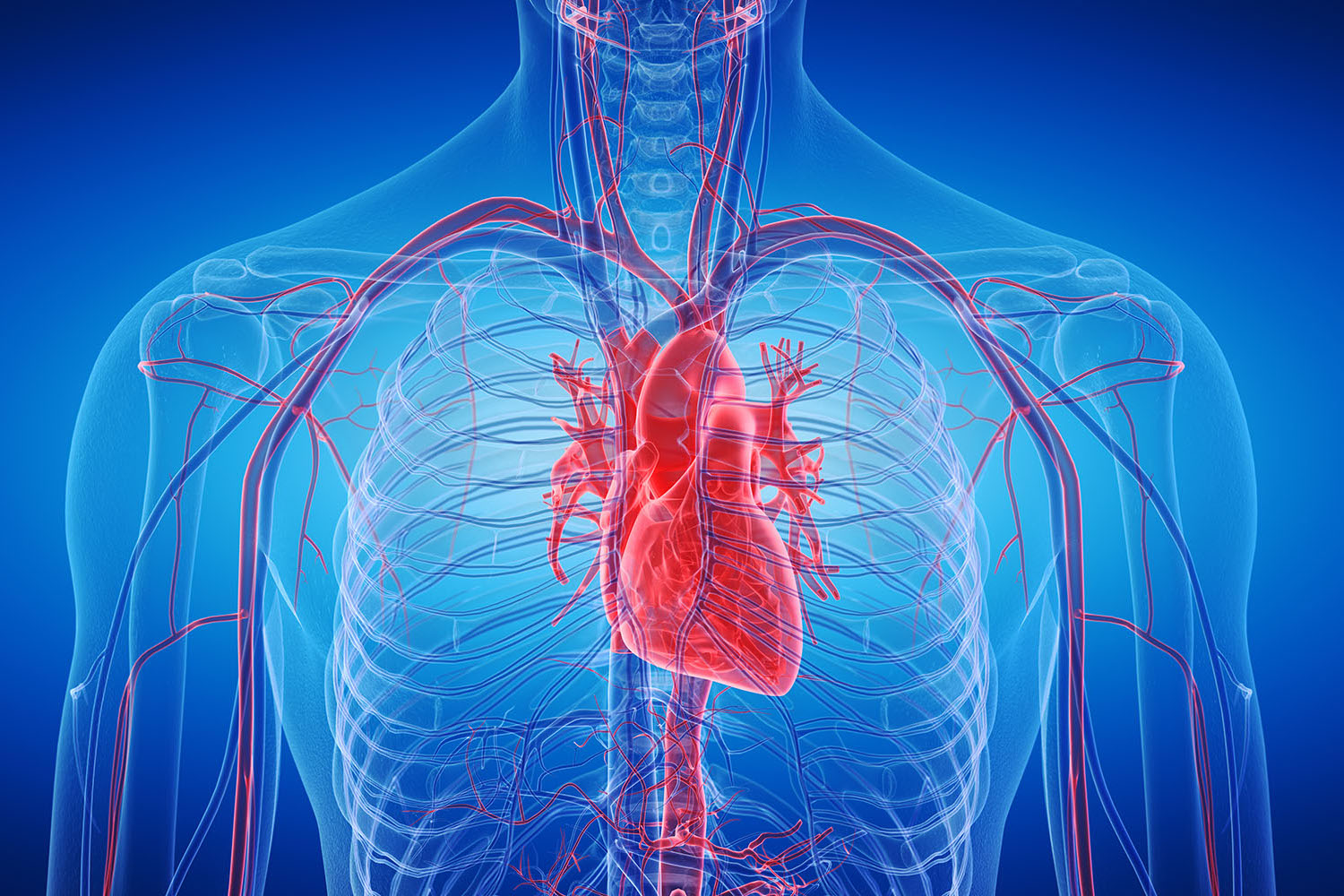 Benefits And Risks Of A Heart Transplant Organ Transplantation NHS 