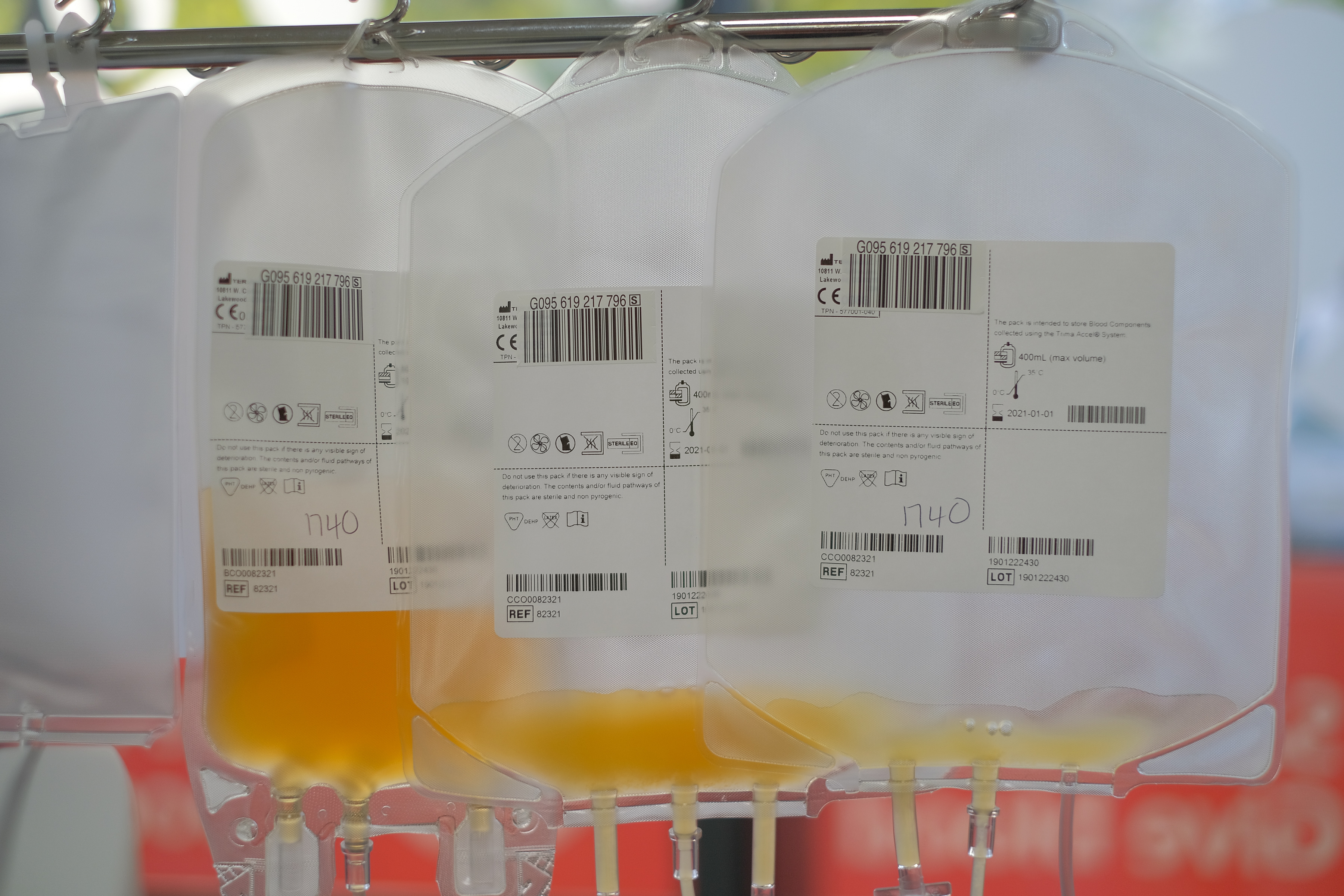 Platelets being collected into blood bags