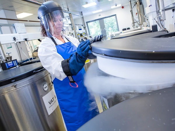 A member of our Birmingham Stem Cells team wears personal protective equipment while working in a cryostorage area