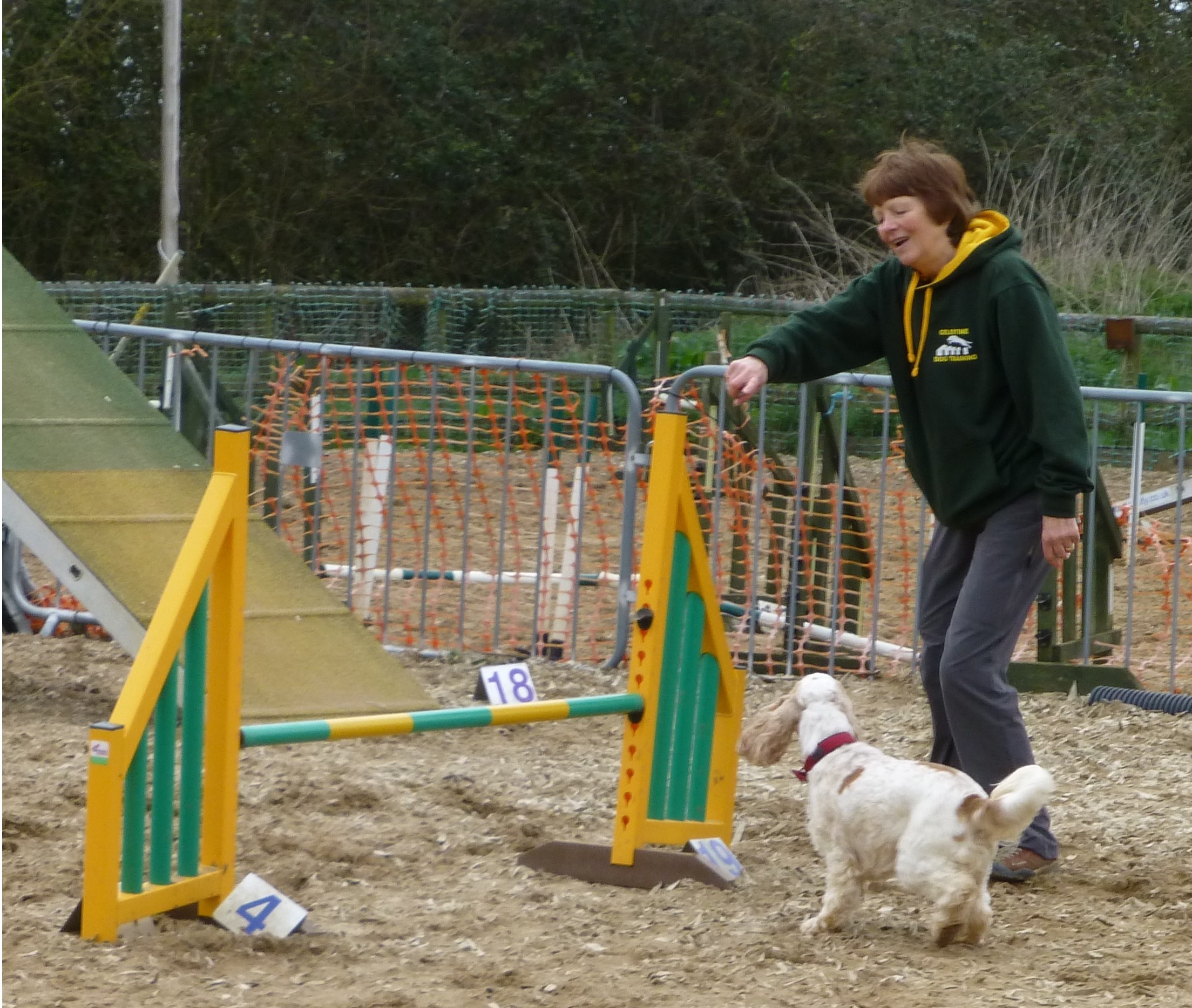 Margaret doing agility with her dog