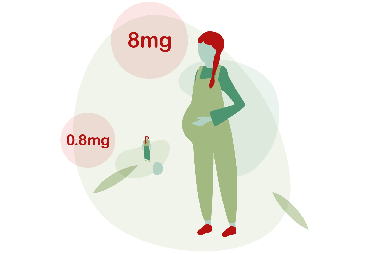 Women who aren't pregnant need 0.8mg iron a day, women who are pregnant need 8mg iron a day
