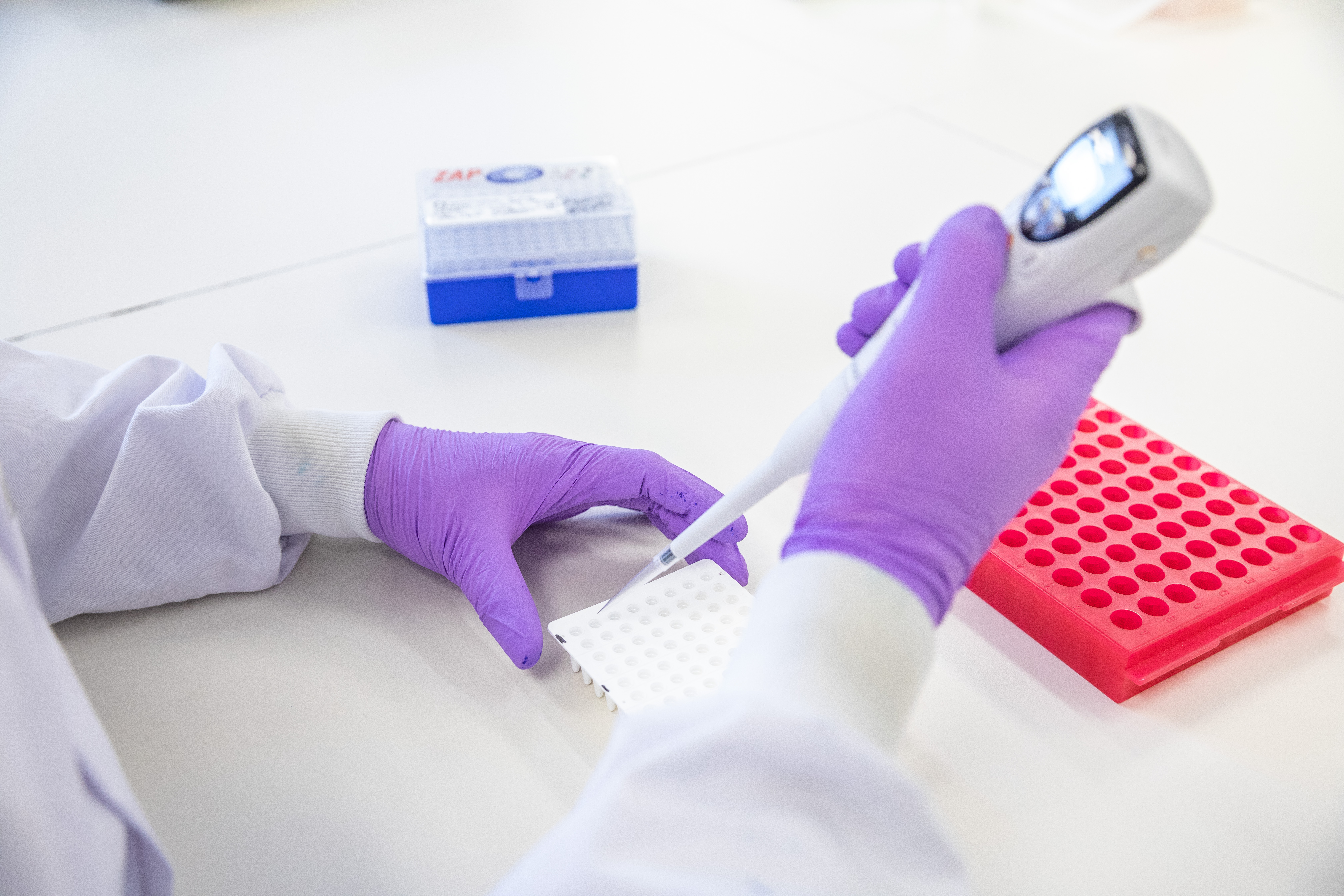 Biomedical scientist performing genotyping on patient samples