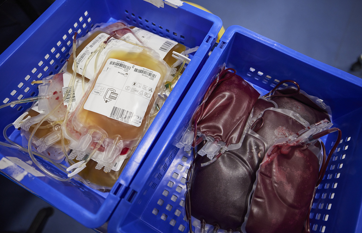 Blood and plasma bags after separation