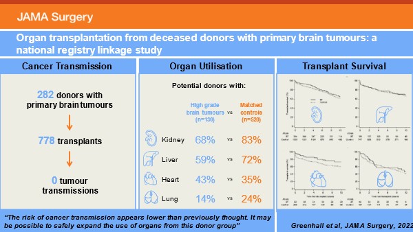 An infographic titled: Organ transplantation from deceased donors with primary brain tumours, A national registry linkage study. The infographic concludes: 