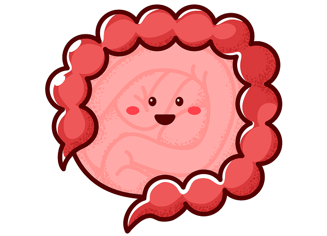 A cartoon image of a small bowel