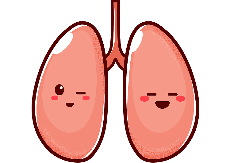 A cartoon image of a pair of lungs
