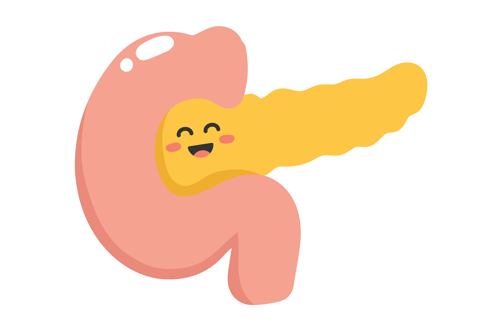 A cartoon illustration of a pancreas
