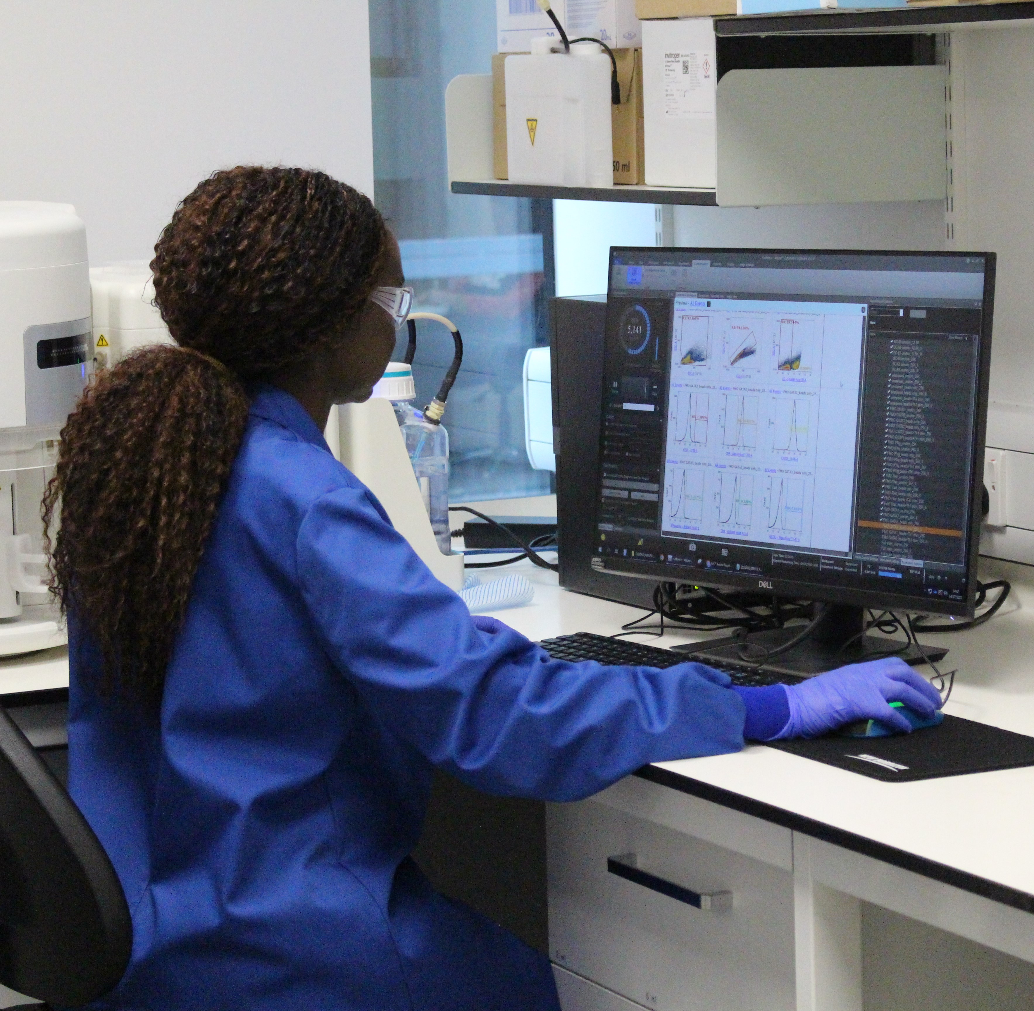 Researcher using a computer programme in the lab