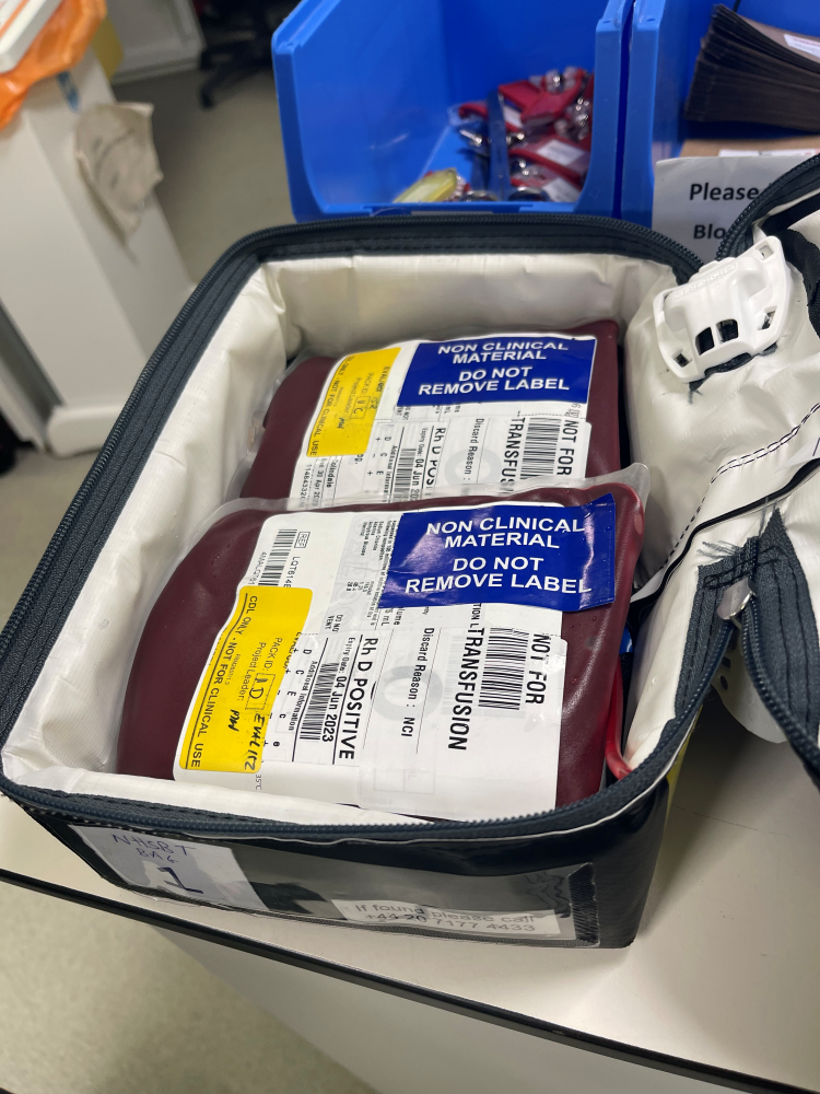 Blood packs in bag ready for transportation