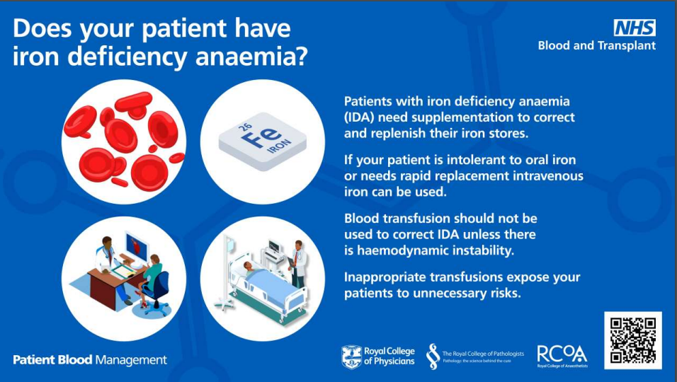 Graphic showing red blood cells, the chemical symbol for iron, a doctor and patient at a desk, and a patient in a hospital bed, with text describing the ways iron deficiency anaemia can be treated