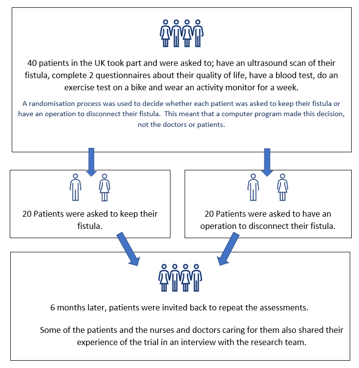Infographic detailing the result of the COBALT trial