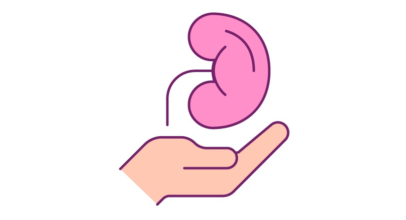 Graphic showing an outstretched hand offering a kidney